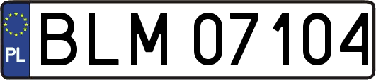 BLM07104