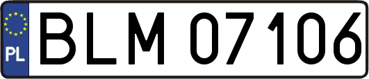 BLM07106