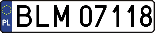 BLM07118