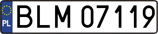 BLM07119