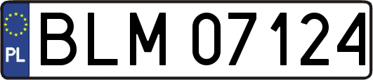 BLM07124
