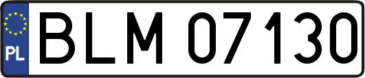BLM07130