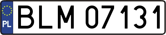 BLM07131