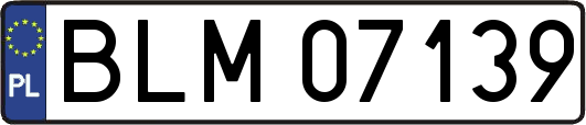 BLM07139
