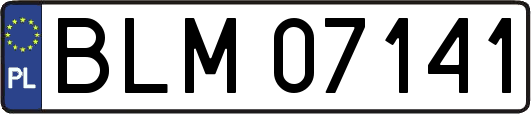 BLM07141