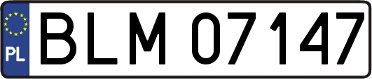 BLM07147
