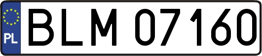 BLM07160