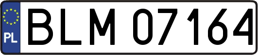 BLM07164