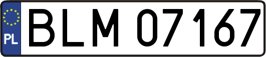 BLM07167