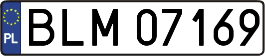 BLM07169