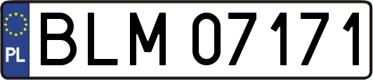 BLM07171