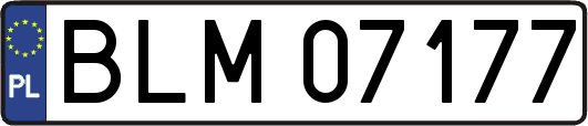 BLM07177