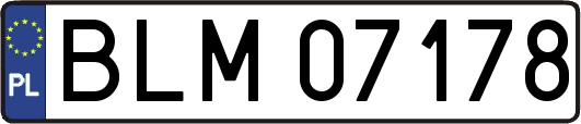 BLM07178