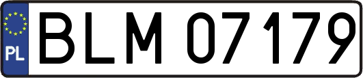 BLM07179