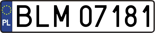 BLM07181