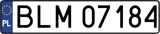 BLM07184