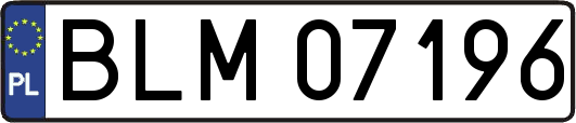 BLM07196