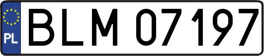 BLM07197
