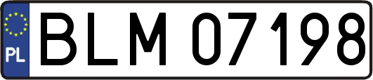 BLM07198