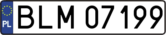 BLM07199
