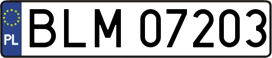 BLM07203