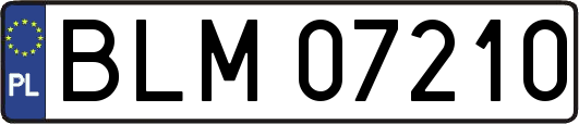 BLM07210