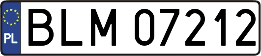 BLM07212