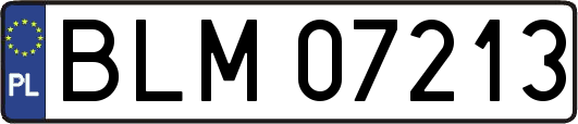 BLM07213