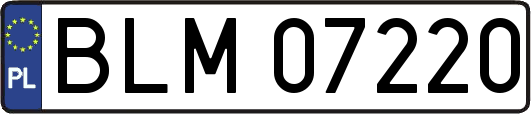 BLM07220