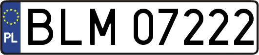 BLM07222