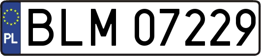 BLM07229