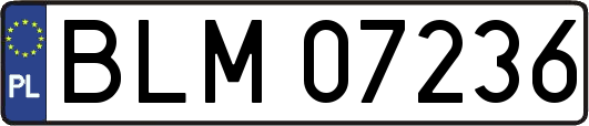 BLM07236