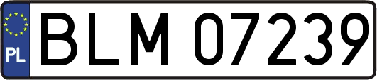 BLM07239