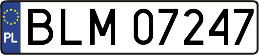 BLM07247