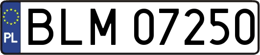 BLM07250