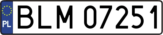 BLM07251