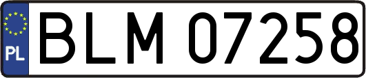 BLM07258