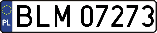 BLM07273