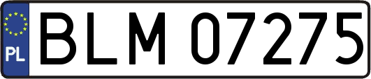 BLM07275
