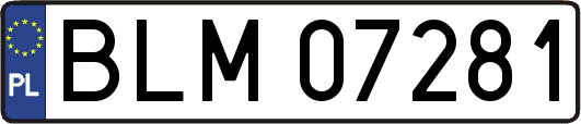 BLM07281