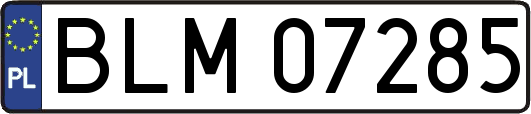 BLM07285