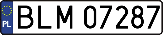 BLM07287