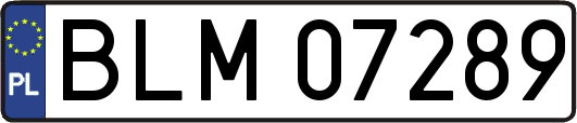 BLM07289