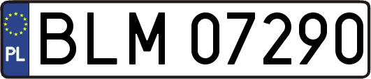 BLM07290