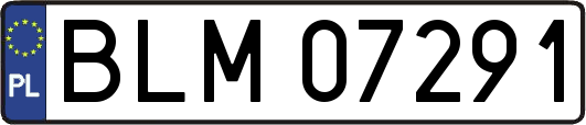 BLM07291