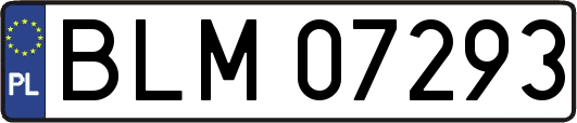 BLM07293