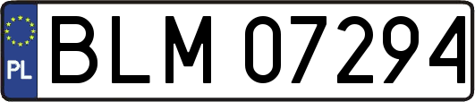 BLM07294