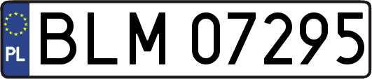 BLM07295