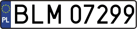 BLM07299