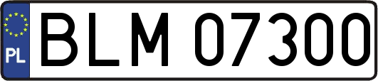 BLM07300
